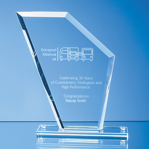 19.5cm x 16.5cm x 1cm Jade Glass Facet Wing Award